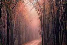 南宫体育：李磊夺得亚冬会越野滑雪女子个人短距离（传统技术）金牌央视新闻客户端.