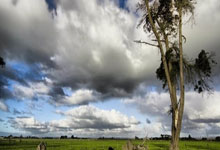 南宫体育：英超： 利物浦2比1气走布莱顿.