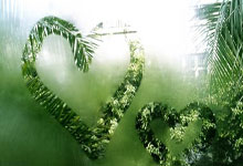 全国残特奥会：打蜡师米文良.